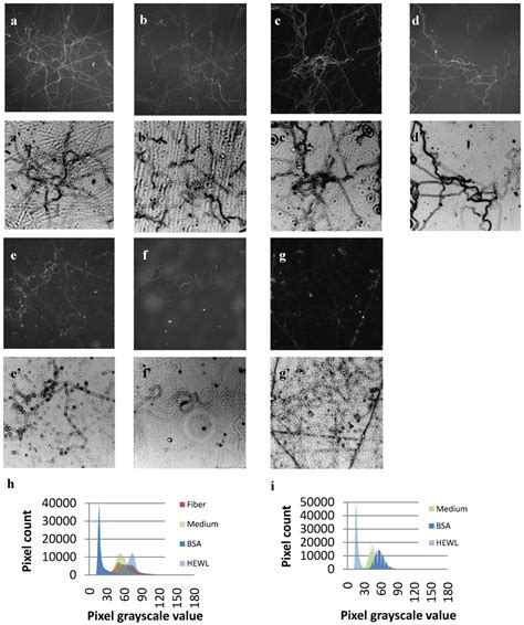 Polymers | Special Issue : Electrospinning Techniques and Novel ...