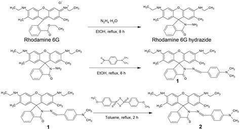 Light Harvesting Nanoprobe for Trace Detection of Hg2+ in Water