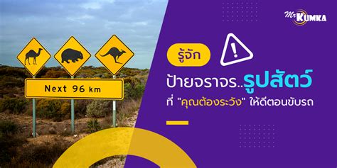 ป้ายระวังสัตว์ ป้ายจราจรรูปวัว ป้ายที่ควรระวัง | มิสเตอร์ คุ้มค่า