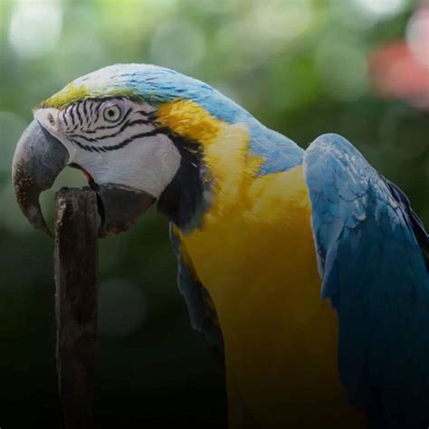 Expand your shooting experience with the Z TELECONVERTER TC-1.4x and Z ...