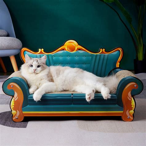 Sofa And Cats at Shirley Pearson blog