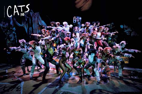 Buy Cats the Musical Stage Tickets Beijing