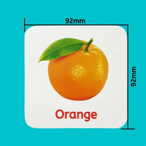 Sandrone All in One Flash Cards for Kids(Non-Tearable flashcards-Water ...