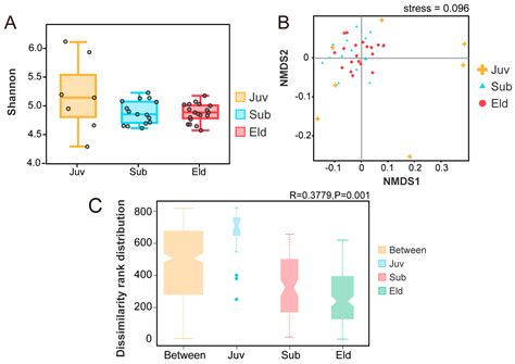 Age-Dependent Composition and Diversity of the Gut Microbiome in Endangered Gibbon (Nomascus ...