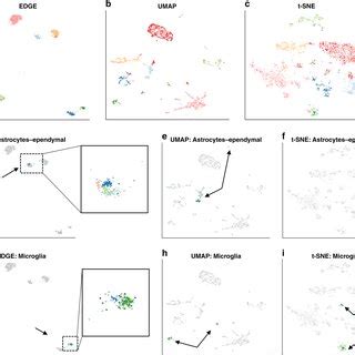 Local and Global Structure 的图像结果