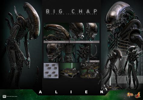 *PRE-ORDER Big Chap Xenomorph - Alien Hot Toys Collectibles 1/6 Scale ...