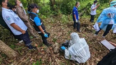 泰国老虎园失踪女游客已找到 被发现时在溪边洗衣服-新闻中心-南海网