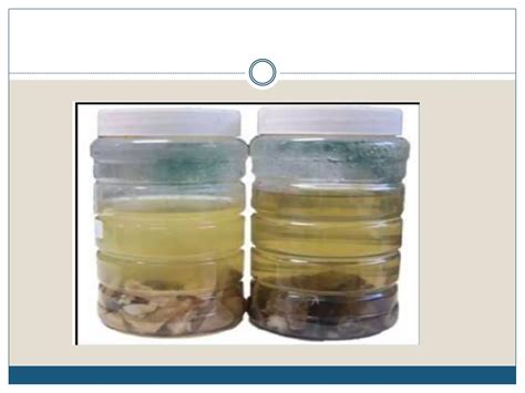Tissue Processing 的图像结果