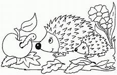 igel ausmalbilder zum drucken kostenlos ausmalbilder tiere igel 979 malvorlage tiere ausmalbilder igel ausmalbilder zum drucken kostenlos ausmalbilder tiere igel 979 malvorlage tiere ausmalbilder