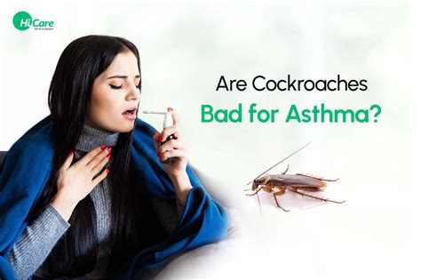 Top 7 Tips to Stop Cockroaches from Making Asthma Worse | HiCare ...