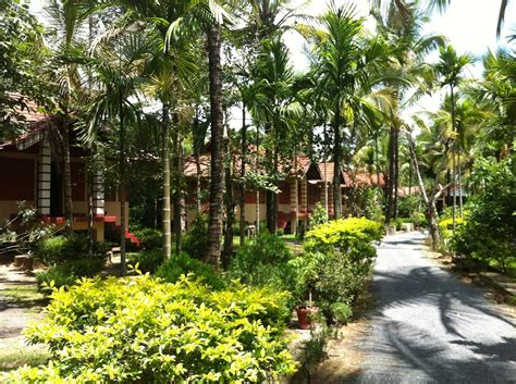 THE 10 CLOSEST Hotels to Wayanad Nature Resorts, Sulthan Bathery