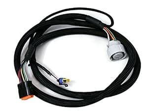 MSD 2770 Atomic Transmission Controller Harness : Amazon.in: Car ...