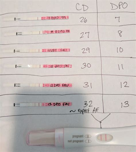 7 Dpo Pregnancy Test Pictures - duchesstips