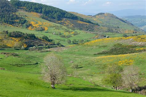 Countryside 的图像结果