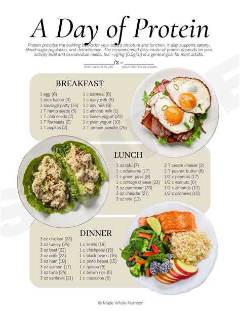 Types of Protein Powder Handout — Functional Health Research + Resources — Made Whole Nutrition ...