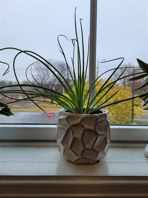 You are all frizzle, but where's the 🤌sizzle🤌?! : r/succshaming