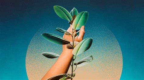3 science-backed ways to train your brain to have a growth mindset - Fast Company