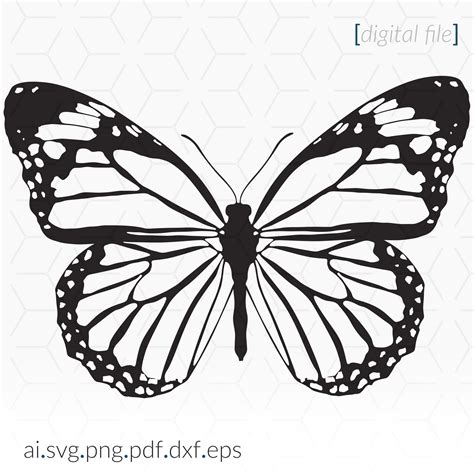 Monarch Butterfly Wing Template