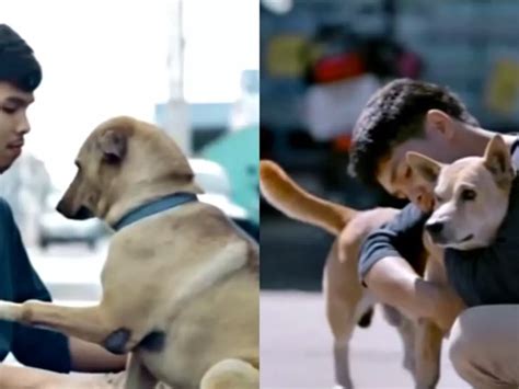 This Man Spent An Entire Day Hugging Stray Dogs Because Everyone ...