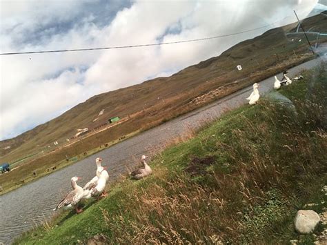 REFUGIO PIEDRA PARADA (Santander) - Cottage Reviews & Photos - Tripadvisor