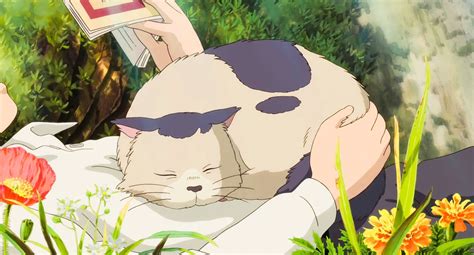 Studio Ghibli on Twitter: "Ghibli cats https://t.co/3inUifZFx8 ...
