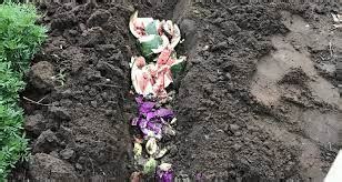 How to make Compost at home | Benefits | Methods | Advantages | Disadv ...