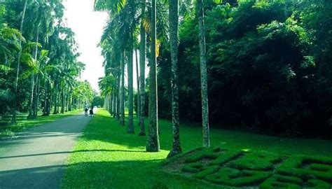 4 Best Things To Do In Gampaha In January For All