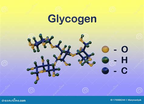 Polysaccharide Glycogen