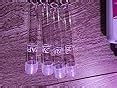 API Fresh Water Master Test Kit, 1 Piece : Amazon.in: Pet Supplies