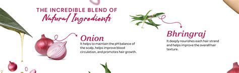 Buy Onion & Bhringraj Hair Mask for Controlling Dandruff