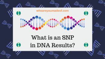 Image result for SNP Examples in Bio