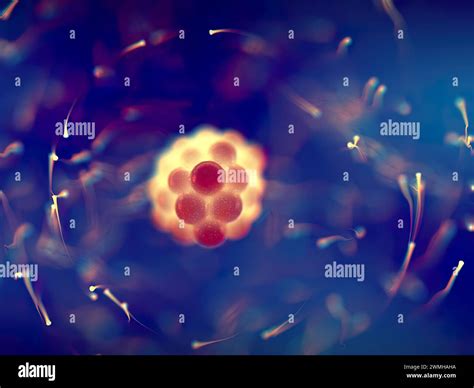 The electron cloud model helps visualize the most probable position of electrons in a atom ...