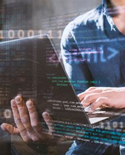 Services - Rapid Datasuite