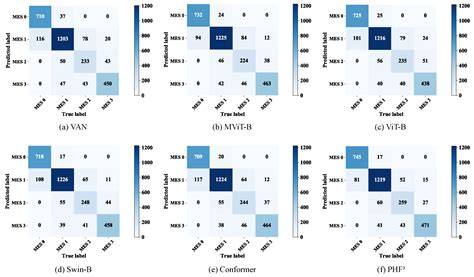 PHF3 Technique: A Pyramid Hybrid Feature Fusion Framework for Severity ...