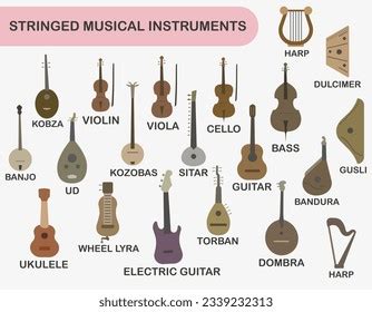 String Instruments List Orchestra