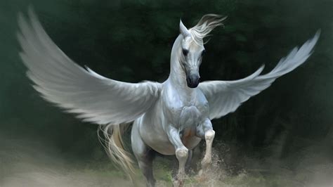 pegasus horse wings animals Wallpapers HD / Desktop and Mobile Backgrounds