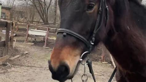 Delightful_sofi's Sex Videos & Recorded Cam Shows | Stripchat