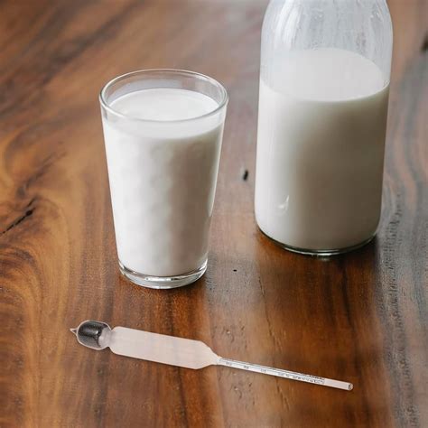 MAGICLULU Lactometer Hydrometer Milk Density Tool Maple Syrup India | Ubuy