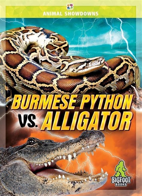 Burmese Python vs Alligator 的图像结果