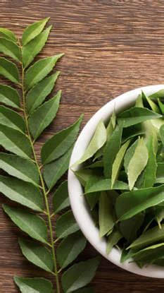 8 benefits of chewing 10-12 neem leaves every morning