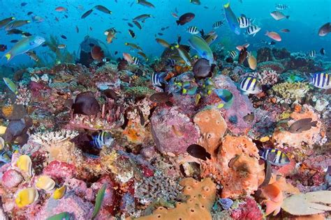Image result for Random Sampling Error