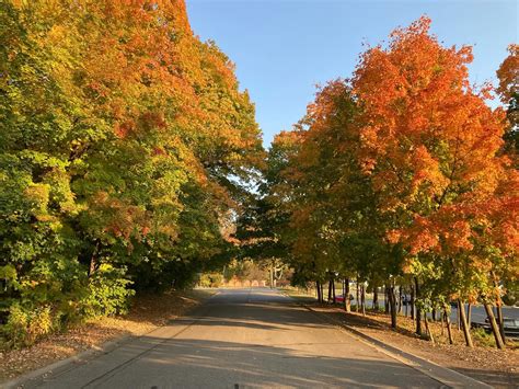 Burl Oaks Golf Club (@burloaksgolfclub) • Instagram photos and videos