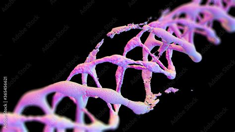 DNA Electron Microscope 的图像结果