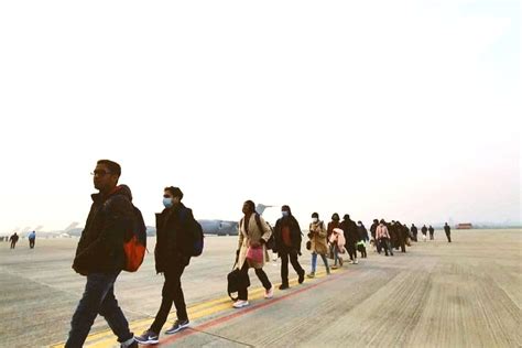 Free photo :IAF evacuates 210 more Indians who had fled from war-torn ...