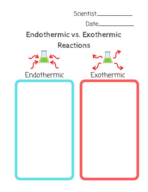 Endothermic Reaction Vs Exothermic Reaction Worksheet - Educational ...