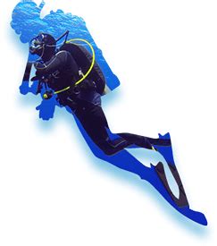 Scuba Diving in Murudeshwar ₹1,999 | Netrani Scuba Diving (2026)