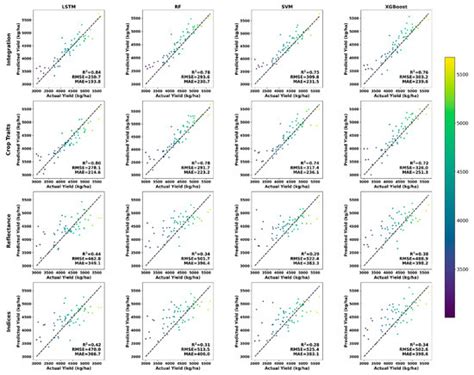 Geospatial Robust Wheat Yield Prediction Using Machine Learning and ...