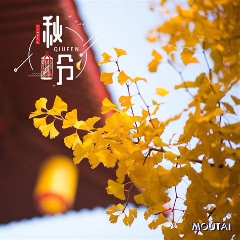 | 24 Solar Terms: Qiufen (Autumn Equinox) – china cultural center