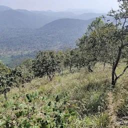 Best Top Rated Animal park in Sirumalai, Tamil Nadu, India | Yappe.in