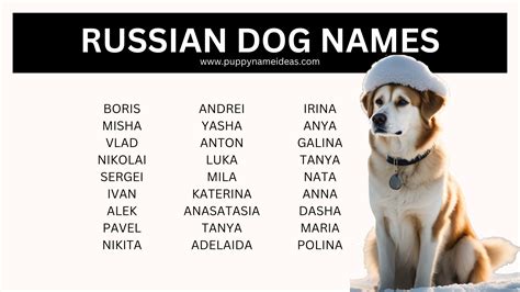 130+ Russian Dog Names - Puppy Name Ideas